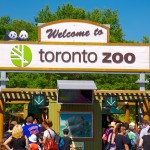 Toronto-Zoo